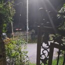 꽃냥이네 촌집 이미지