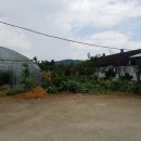 오가네 농장 이미지