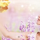 자연한방에스테틱