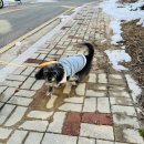 월드종합할인마트 이미지