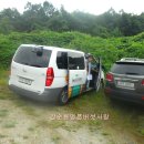 강순용명품버섯사랑 이미지
