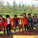 삼양유치원 이미지