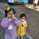 하버드킨더유치원 | 하버드킨더 유치원