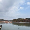 하늘바다낚시터 | 대부도 하늘바다낚시터 초보의 리벤지 성공기 🎣 도미 6 + 우럭 4, 손맛과 손질까지 꽉 채운 하루