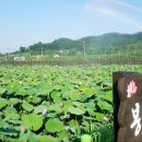 봉정마을 이미지