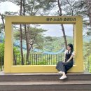 간현관광지 | 원주 간현관광지 유원지 소금산 출렁다리 시간 울렁다리 사이코지만괜찮아촬영지