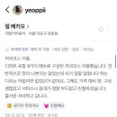 일베키오 이미지