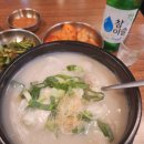 백년삼계타탕 | 서울 서초 삼계탕 맛집 3대삼계장인 내돈내산 후기 미슐랭 맛집임!