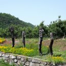 장생마을 이미지