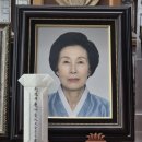 도경스님의 어머님 ㅡ 100일재를 앞두고 차근차근 한걸음씩 단으로 오르기 위해 마음걸음 하고 계십니다 이미지