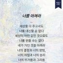 풀 잡기 이미지