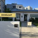 도산트