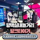 핑크타이거 | 평택 친구랑 놀만한 곳 추천! 평택 실내 놀거리 핑크타이거 후기
