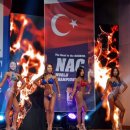 NAC KOREA 이미지