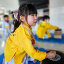 품태권도장 이미지