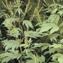 자연이야기 이미지