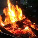 달빛좌대 이미지