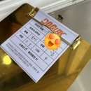 조천체육관 | 제주 동쪽 애견운동장과 실내 수영장이 있는 도그렉스 내돈내산 후기