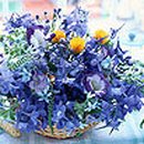 아름다운사람들