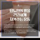 레푸스 경대점 이미지