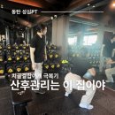 동탄순환대로 30길R | 동탄 성심PT 출산 후 골반 틀어짐·허리 통증 개선 체험 후기 (4회 변화 기록)