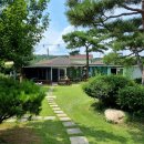 양평애견택시 이미지