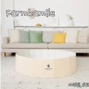 팜카밀레 이미지