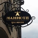 맘모스빵집 이미지
