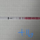 역전슈퍼 | 일기]대구차병원 시험관1차 5일배아 이식 성공후기(이식후증상,임테기역전,핏덩이사진있음,임신확인서발급)