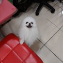 호텔루이 이미지