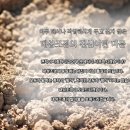 이드레펜션