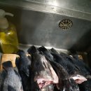 구산비치모텔 이미지