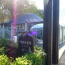 애완동물원 이미지