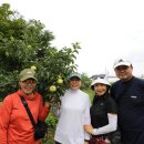 늘봄농장 이미지