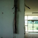 양정초등학교 이미지