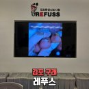 방배한강동물병원 | 김포무좀 레푸스 김포한강신도시점 구래동 후기