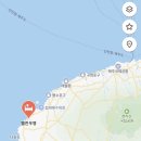 벨진우영