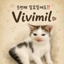♥️ 5월 31일(SUN) 비비밀 앵콜파티😍+살또 무료강습😲👍 이미지