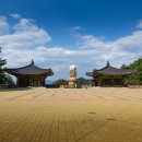 담양을 담다 이미지