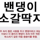 소갈딱지 이미지