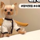 대갓집해물왕창칼국수 이미지