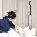 아이스마트테크놀로지 | 애완동물 키우는 집 필수템 드리미T16 올인원 무선물걸레청소기 후기
