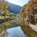 무릉계곡 5호 | 영월 김삿갓계곡 (Kim Sat‑gat Valley) – 문학과 자연이 흐르는 숲속 힐링 스팟