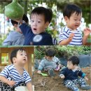 호피농장 이미지