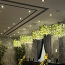 더뉴 | 더 뉴 컨벤션 웨딩홀 계약 후기(견적공유o)