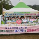 진천군 농다리 이미지