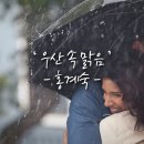 너른우산 이미지