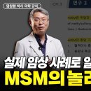 MSM이란 무엇인가? 효능부터 임상 사례까지 완벽 정리 이미지