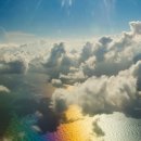 자연오리 이미지