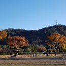 태화강국가정원 이미지